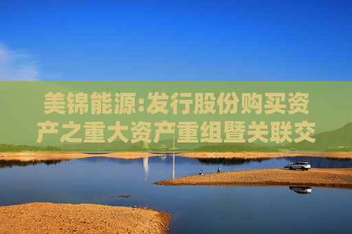 美锦能源:发行股份购买资产之重大资产重组暨关联交易预案（摘要）