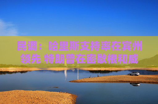 民调：哈里斯支持率在宾州领先 特朗普在密歇根和威斯康星州领跑