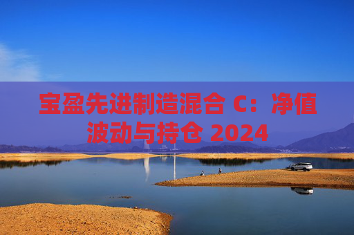 宝盈先进制造混合 C：净值波动与持仓 2024