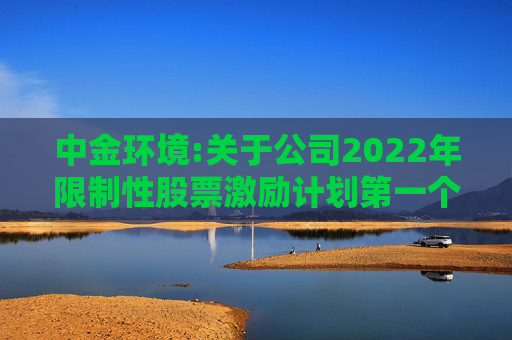 中金环境:关于公司2022年限制性股票激励计划第一个解除限售期条件成就的公告