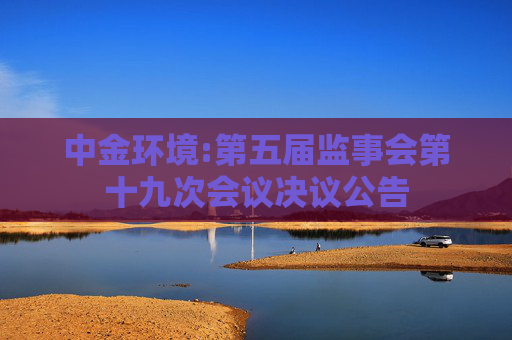 中金环境:第五届监事会第十九次会议决议公告