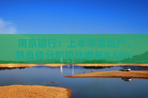 南京银行:上半年总资产、总负债分别同比增长8.50%和8.84%