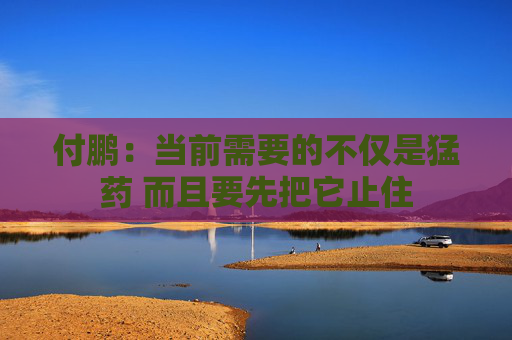 付鹏：当前需要的不仅是猛药 而且要先把它止住