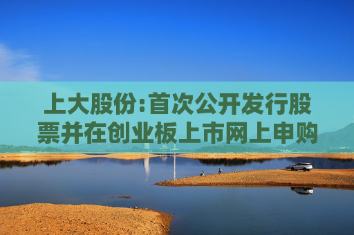 上大股份:首次公开发行股票并在创业板上市网上申购情况及中签率公告