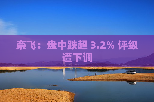奈飞：盘中跌超 3.2% 评级遭下调