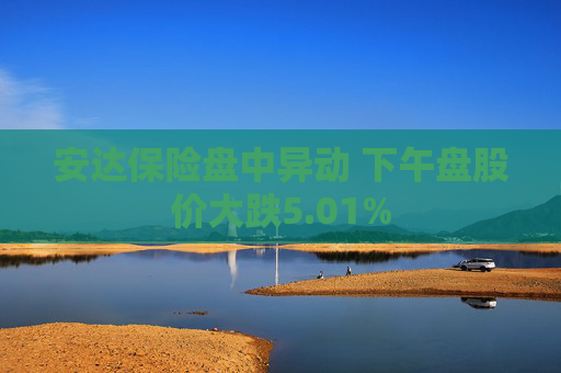 安达保险盘中异动 下午盘股价大跌5.01%