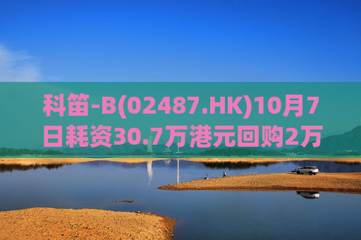 科笛-B(02487.HK)10月7日耗资30.7万港元回购2万股