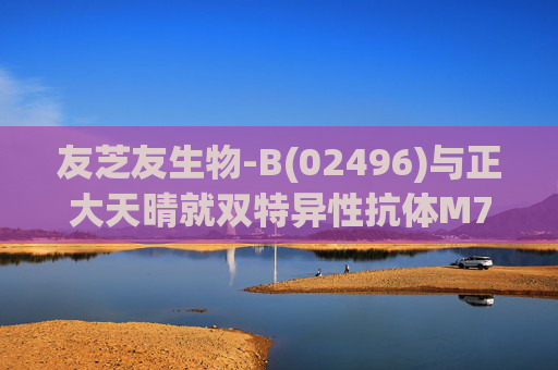 友芝友生物-B(02496)与正大天晴就双特异性抗体M701订立许可与合作协议