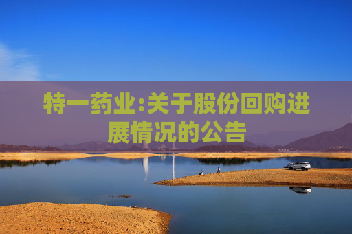 特一药业:关于股份回购进展情况的公告