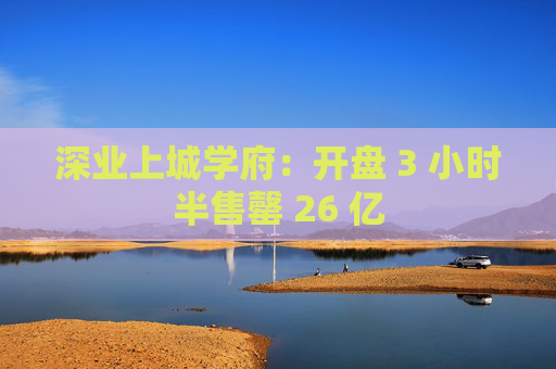 深业上城学府：开盘 3 小时半售罄 26 亿