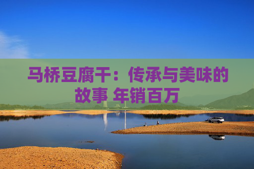 马桥豆腐干:传承与美味的故事 年销百万