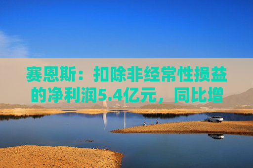 赛恩斯：扣除非经常性损益的净利润5.4亿元，同比增长64.97%