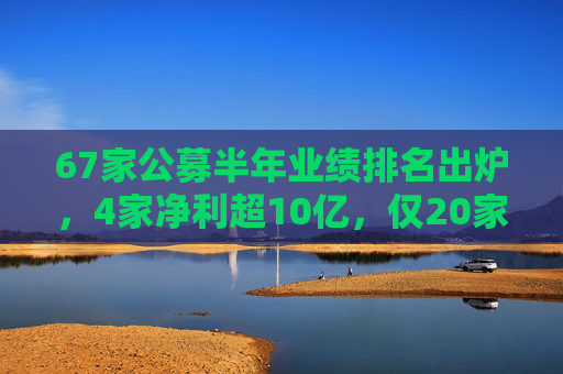 67家公募半年业绩排名出炉，4家净利超10亿，仅20家正增长，固收与指数基金明显助力