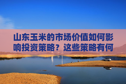 山东玉米的市场价值如何影响投资策略？这些策略有何局限性？
