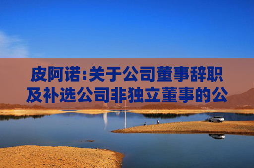 皮阿诺:关于公司董事辞职及补选公司非独立董事的公告