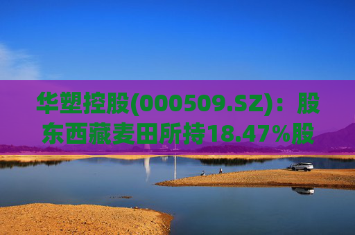 华塑控股(000509.SZ)：股东西藏麦田所持18.47%股权将被司法拍卖