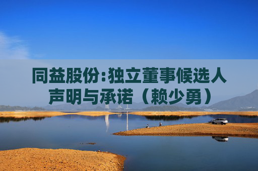 同益股份:独立董事候选人声明与承诺（赖少勇）
