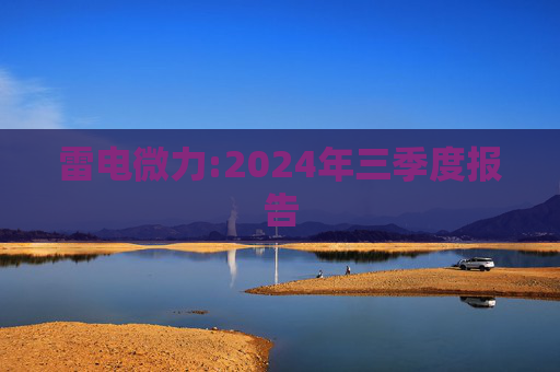 雷电微力:2024年三季度报告