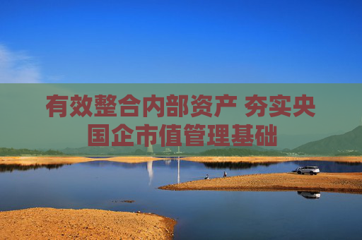 有效整合内部资产 夯实央国企市值管理基础