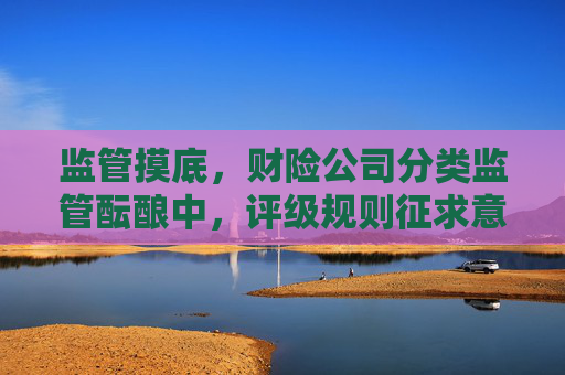监管摸底，财险公司分类监管酝酿中，评级规则征求意见