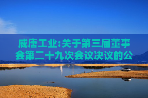 威唐工业:关于第三届董事会第二十九次会议决议的公告