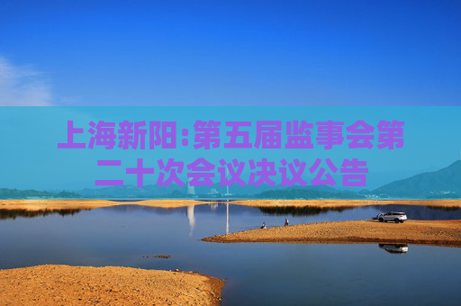 上海新阳:第五届监事会第二十次会议决议公告