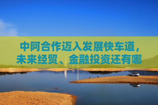 中阿合作迈入发展快车道，未来经贸、金融投资还有哪些机会？
