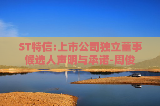 ST特信:上市公司独立董事候选人声明与承诺-周俊