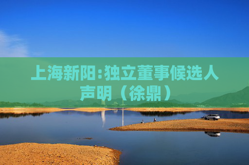 上海新阳:独立董事候选人声明（徐鼎）