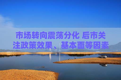 市场转向震荡分化 后市关注政策效果、基本面等因素