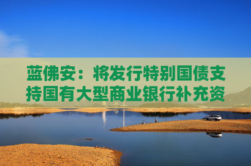 蓝佛安：将发行特别国债支持国有大型商业银行补充资本
