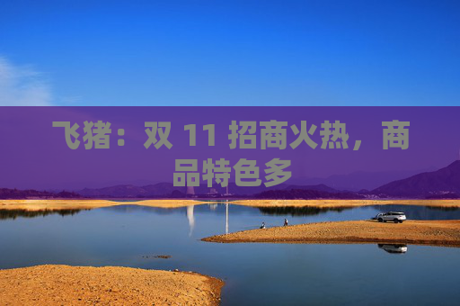 飞猪：双 11 招商火热，商品特色多