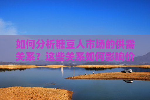 如何分析糖豆人市场的供需关系？这些关系如何影响价值波动？