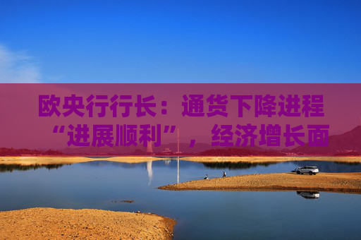 欧央行行长：通货下降进程“进展顺利”，经济增长面临下行风险