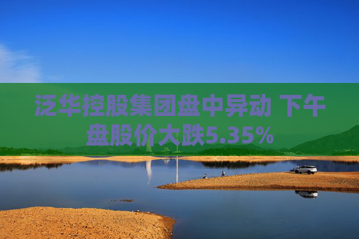 泛华控股集团盘中异动 下午盘股价大跌5.35%