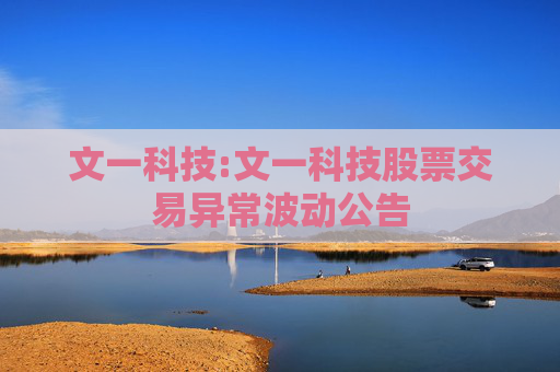 文一科技:文一科技股票交易异常波动公告