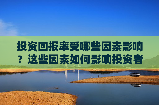 投资回报率受哪些因素影响？这些因素如何影响投资者的策略？