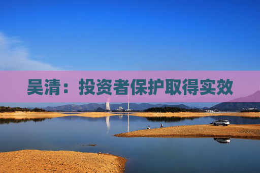 吴清：投资者保护取得实效