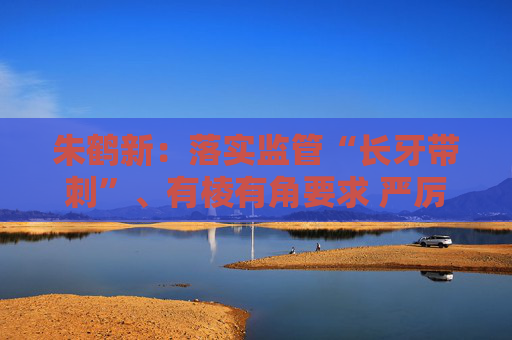 朱鹤新：落实监管“长牙带刺”、有棱有角要求 严厉打击各类外汇违法违规活动