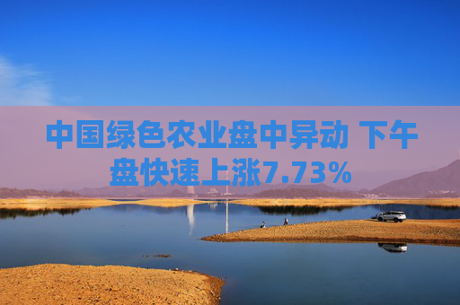 中国绿色农业盘中异动 下午盘快速上涨7.73%