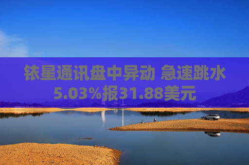 铱星通讯盘中异动 急速跳水5.03%报31.88美元