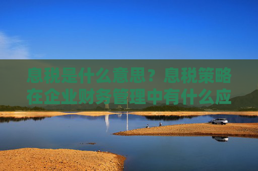 息税是什么意思？息税策略在企业财务管理中有什么应用？