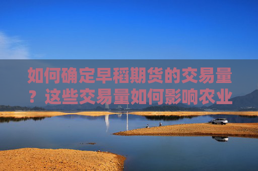 如何确定早稻期货的交易量？这些交易量如何影响农业市场？