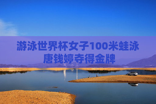 游泳世界杯女子100米蛙泳 唐钱婷夺得金牌