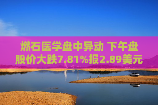 燃石医学盘中异动 下午盘股价大跌7.81%报2.89美元