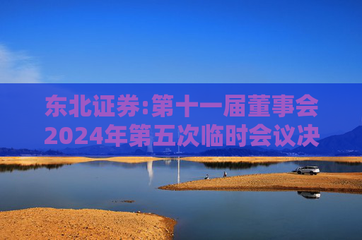 东北证券:第十一届董事会2024年第五次临时会议决议公告