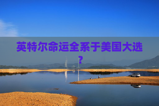 英特尔命运全系于美国大选？