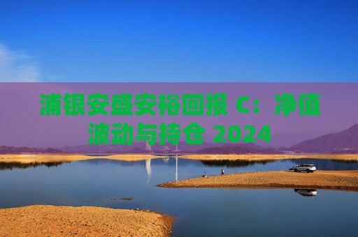 浦银安盛安裕回报 C：净值波动与持仓 2024