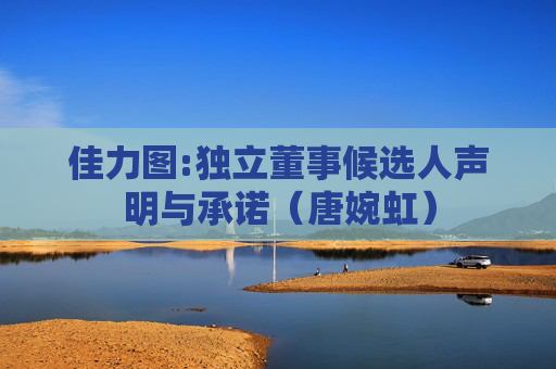 佳力图:独立董事候选人声明与承诺（唐婉虹）