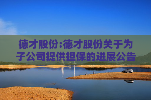 德才股份:德才股份关于为子公司提供担保的进展公告